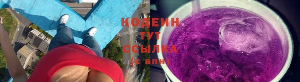 мдпв Горнозаводск