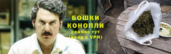 мдпв Горнозаводск