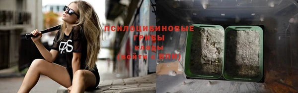 мдпв Горнозаводск