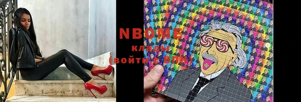 ешки Горняк